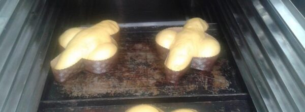 Colomba pasquale online