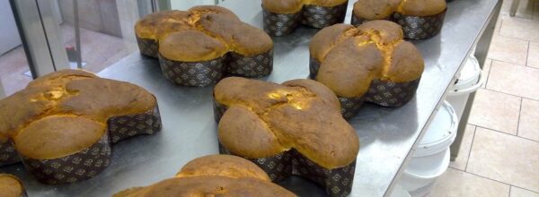 colombe di Pasqua artigianali
