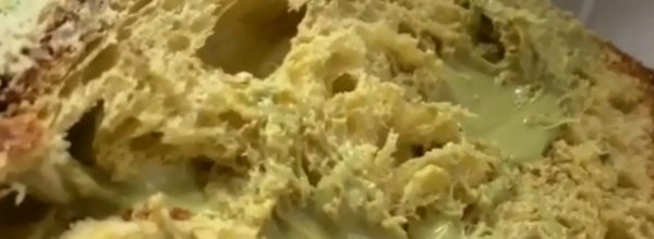 panettone artigianale al pistacchio particolare
